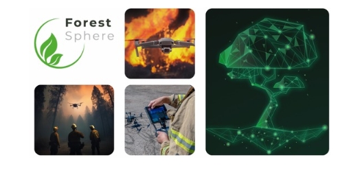 ForestSphere | A Digital Twin Approach for Monitoring and Managing Forests and Wildfire Risk