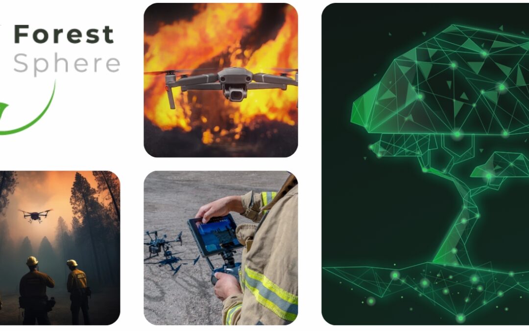ForestSphere: A Digital Twin Approach for Monitoring and Managing Forests and Wildfire Risk